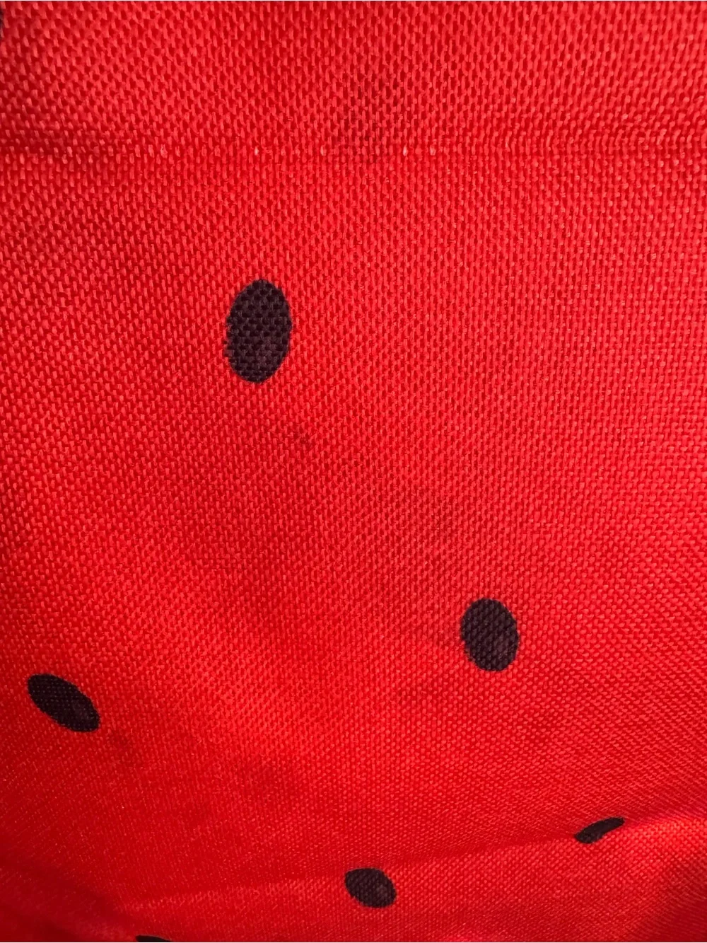 NWOT Red and Black Watermelon Table Runner, 13x72
